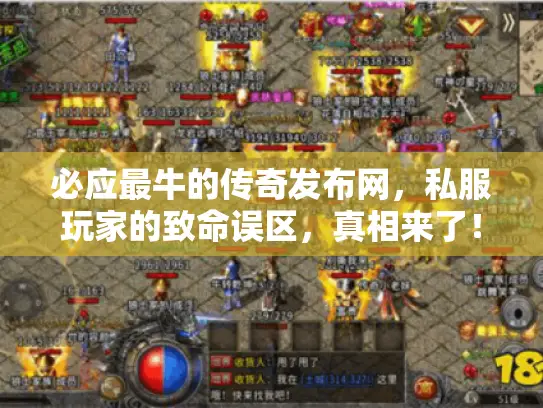 必应最牛的传奇发布网，私服玩家的致命误区，真相来了！