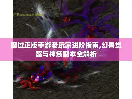 魔域正版手游老玩家进阶指南,幻兽觉醒与神域副本全解析 魔域正版手游老玩家进阶指南,幻兽觉醒与神域副本全解析