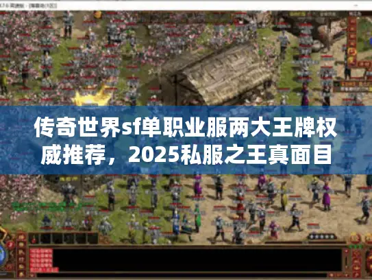 传奇世界sf单职业服两大王牌权威推荐，2025私服之王真面目曝光