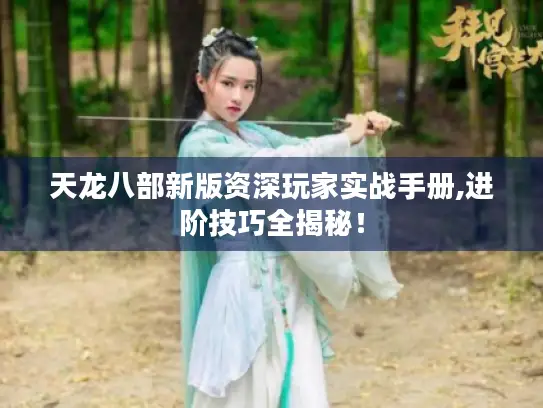 天龙八部新版资深玩家实战手册,进阶技巧全揭秘！