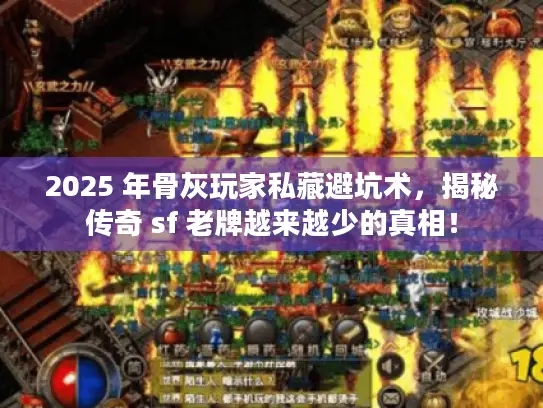 2025 年骨灰玩家私藏避坑术，揭秘传奇 sf 老牌越来越少的真相！