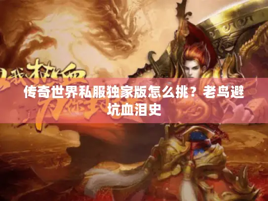 传奇世界私服独家版怎么挑？老鸟避坑血泪史