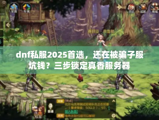 dnf私服2025首选，还在被骗子服坑钱？三步锁定真香服务器
