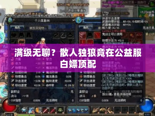 满级无聊？散人独狼竟在公益服白嫖顶配