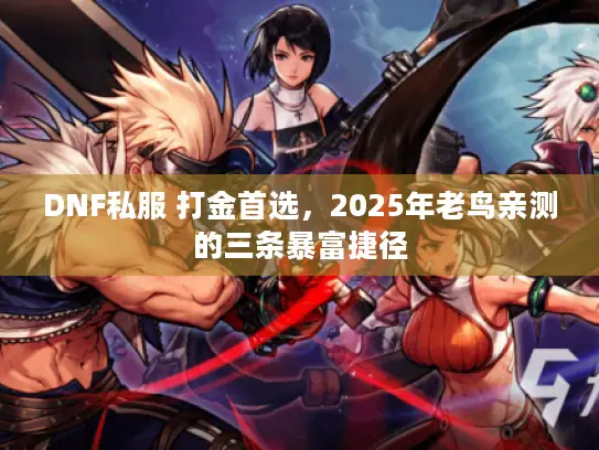 DNF私服 打金首选，2025年老鸟亲测的三条暴富捷径