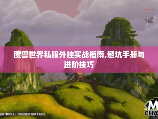 魔兽世界私服外挂实战指南,避坑手册与进阶技巧