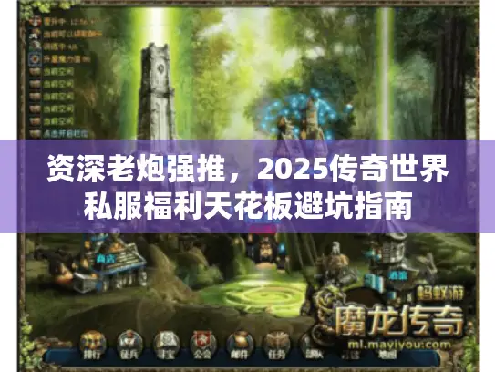 资深老炮强推，2025传奇世界私服福利天花板避坑指南