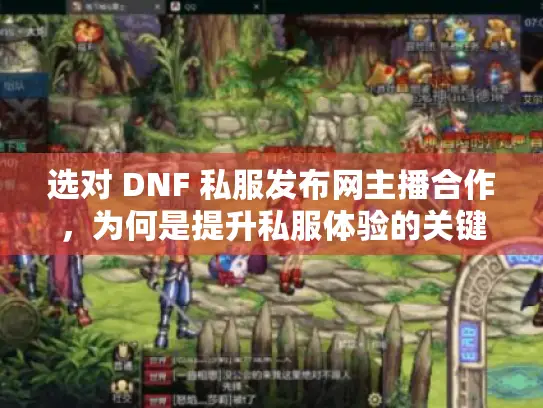 选对 DNF 私服发布网主播合作，为何是提升私服体验的关键？