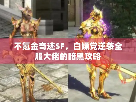 不氪金奇迹SF，白嫖党逆袭全服大佬的暗黑攻略