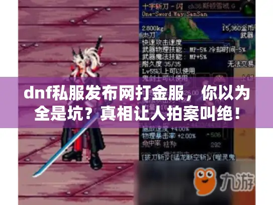 dnf私服发布网打金服，你以为全是坑？真相让人拍案叫绝！