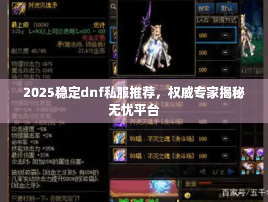 2025稳定dnf私服推荐，权威专家揭秘无忧平台