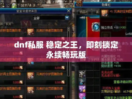 dnf私服 稳定之王,即刻锁定永续畅玩版 dnf私服 稳定之王,即刻锁定永续畅玩版