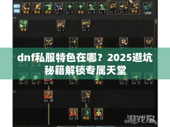 dnf私服特色在哪？2025避坑秘籍解锁专属天堂