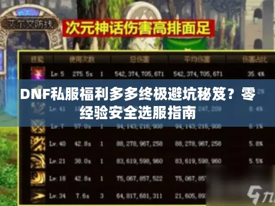 DNF私服福利多多终极避坑秘笈？零经验安全选服指南