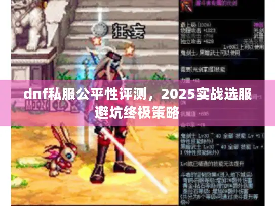 dnf私服公平性评测,2025实战选服避坑终极策略 dnf私服公平性评测,2025实战选服避坑终极策略