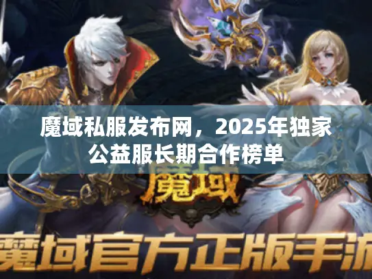 魔域私服发布网，2025年独家公益服长期合作榜单