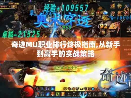 奇迹MU职业排行终极指南,从新手到高手的实战策略