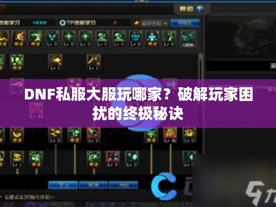 DNF私服大服玩哪家？破解玩家困扰的终极秘诀