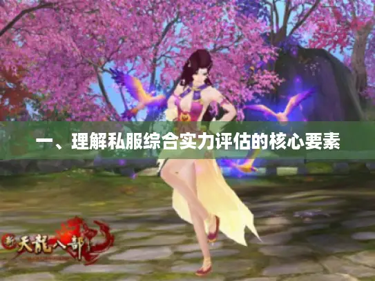 一、理解私服综合实力评估的核心要素