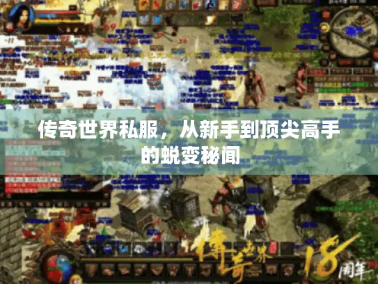 传奇世界私服,从新手到顶尖高手的蜕变秘闻 传奇世界私服,从新手到顶尖高手的蜕变秘闻