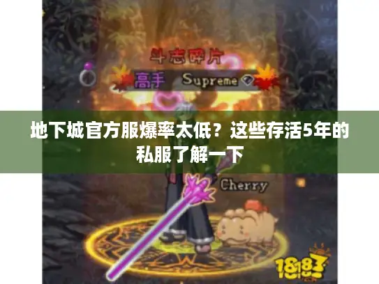 地下城官方服爆率太低？这些存活5年的私服了解一下