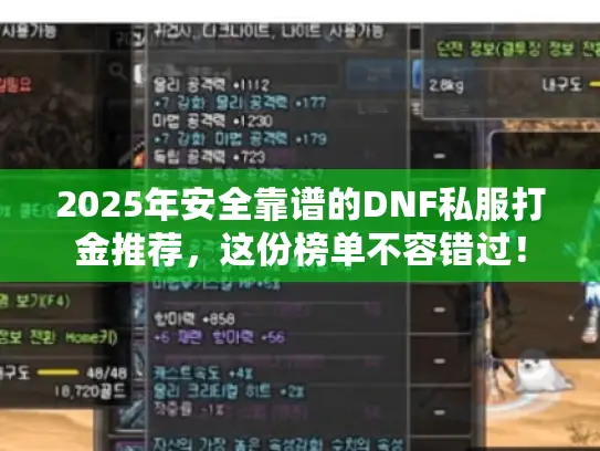 2025年安全靠谱的DNF私服打金推荐，这份榜单不容错过！