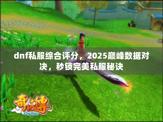 dnf私服综合评分，2025巅峰数据对决，秒锁完美私服秘诀