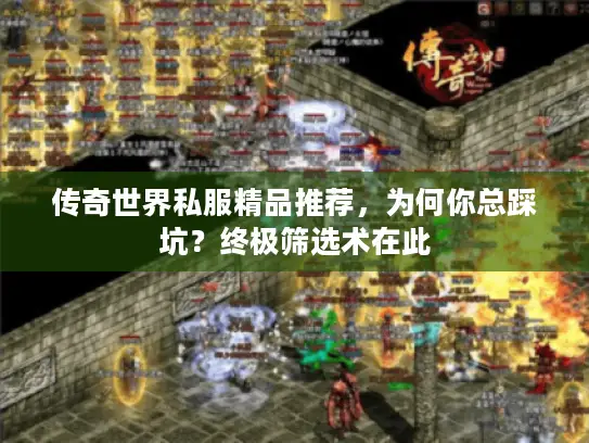 传奇世界私服精品推荐，为何你总踩坑？终极筛选术在此