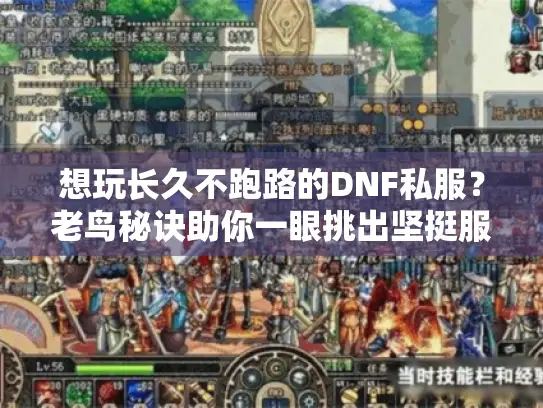 想玩长久不跑路的DNF私服？老鸟秘诀助你一眼挑出坚挺服