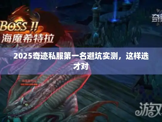 2025奇迹私服第一名避坑实测，这样选才对