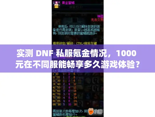 实测 DNF 私服氪金情况，1000 元在不同服能畅享多久游戏体验？