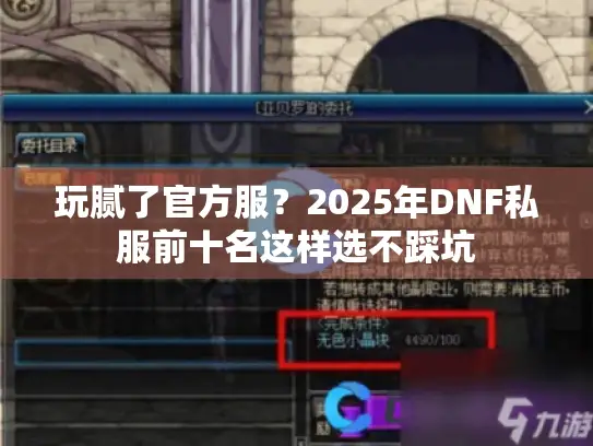玩腻了官方服？2025年DNF私服前十名这样选不踩坑