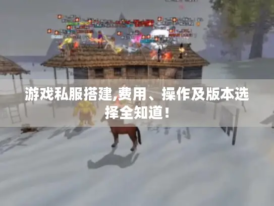 游戏私服搭建,费用、操作及版本选择全知道！