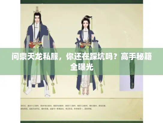 问鼎天龙私服，你还在踩坑吗？高手秘籍全曝光