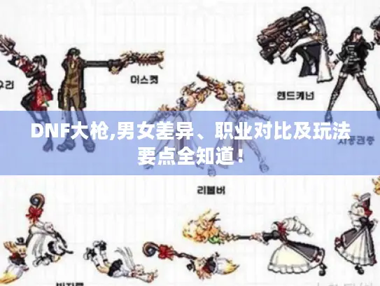 DNF大枪,男女差异、职业对比及玩法要点全知道！