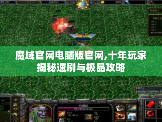 魔域官网电脑版官网,十年玩家揭秘速刷与极品攻略 魔域官网电脑版官网,十年玩家揭秘速刷与极品攻略