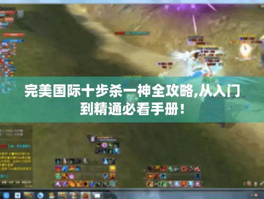 完美国际十步杀一神全攻略,从入门到精通必看手册! 完美国际十步杀一神全攻略,从入门到精通必看手册!