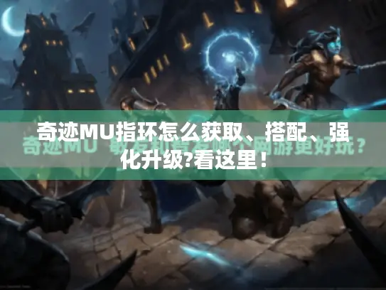 奇迹MU指环怎么获取、搭配、强化升级?看这里! 奇迹MU指环怎么获取、搭配、强化升级?看这里!