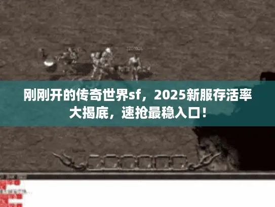 刚刚开的传奇世界sf,2025新服存活率大揭底,速抢最稳入口! 刚刚开的传奇世界sf,2025新服存活率大揭底,速抢最稳入口!