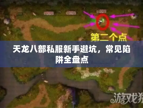 天龙八部私服新手避坑，常见陷阱全盘点