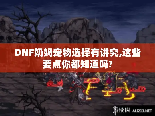 DNF奶妈宠物选择有讲究,这些要点你都知道吗?