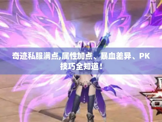 奇迹私服满点,属性加点、暴血差异、PK技巧全知道！