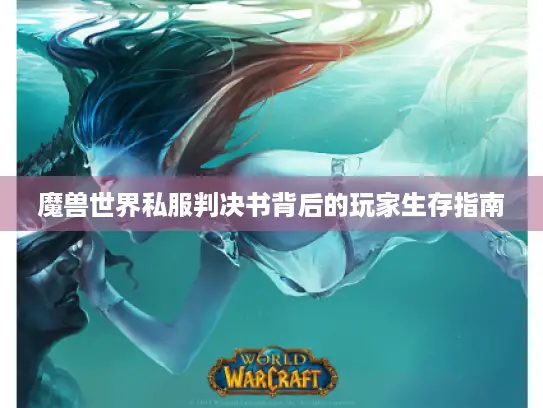 魔兽世界私服判决书背后的玩家生存指南 魔兽世界私服判决书背后的玩家生存指南