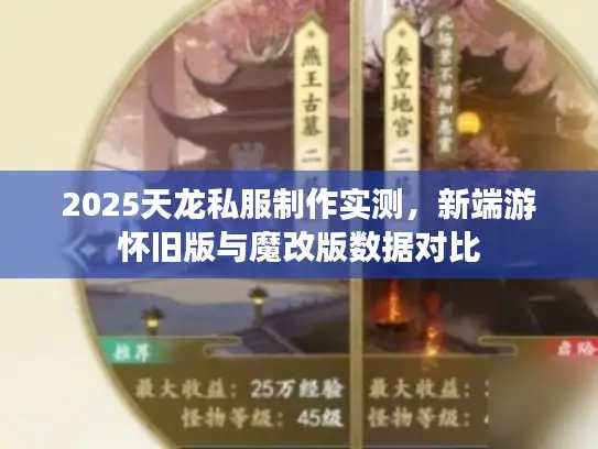 2025天龙私服制作实测，新端游怀旧版与魔改版数据对比