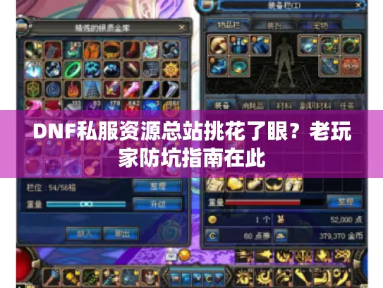 DNF私服资源总站挑花了眼？老玩家防坑指南在此