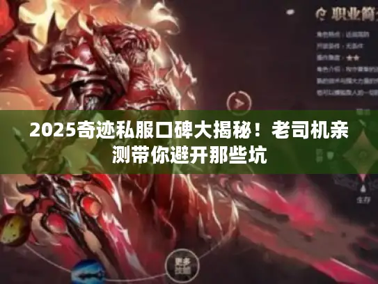 2025奇迹私服口碑大揭秘！老司机亲测带你避开那些坑