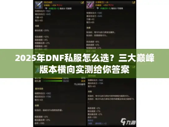 2025年DNF私服怎么选？三大巅峰版本横向实测给你答案