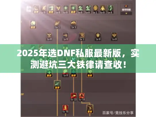2025年选DNF私服最新版，实测避坑三大铁律请查收！
