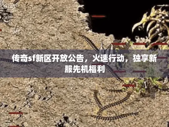 传奇sf新区开放公告，火速行动，独享新服先机福利