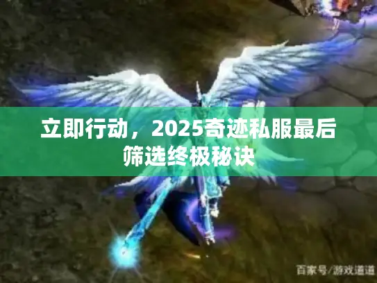 立即行动，2025奇迹私服最后筛选终极秘诀
